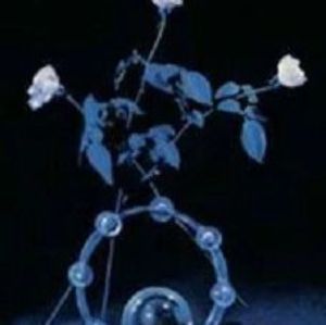 Meet your Posher, Patti